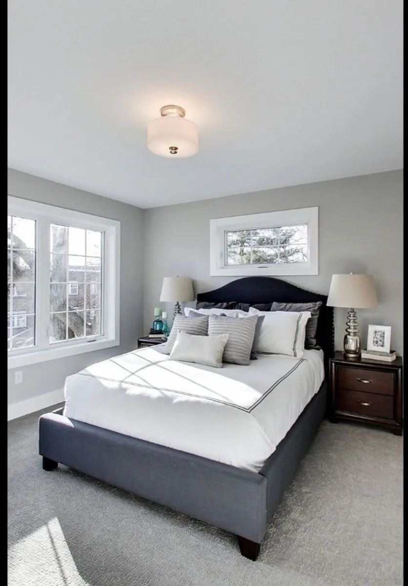 Luxury carpet 90m². Qualty underlay - Image 3