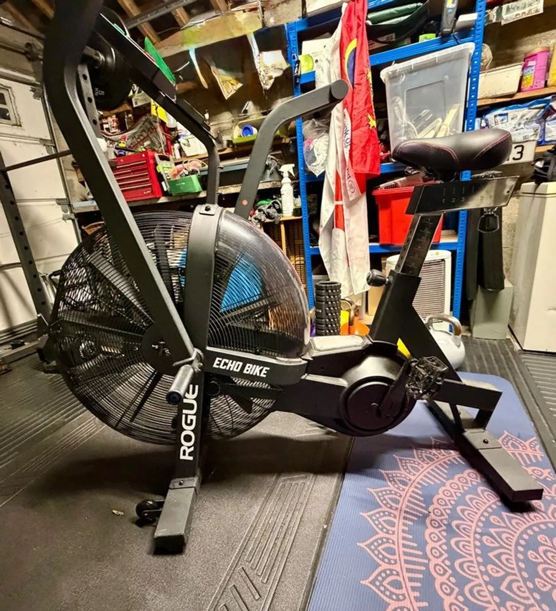 Rogue Echo Bike v2.0 (Assault Bike)