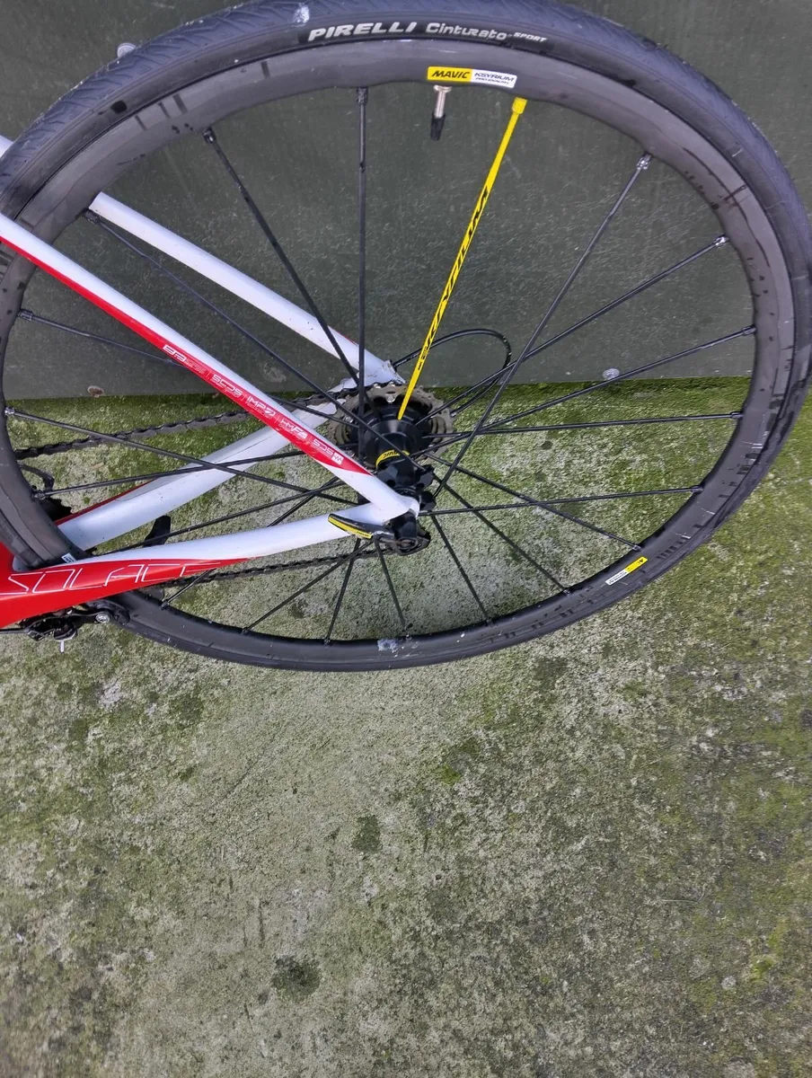 Carbon Road bike - Image 2