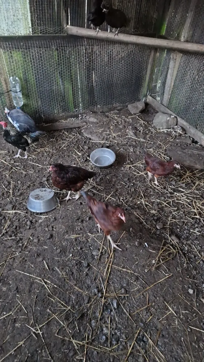 Rhode Island’s - Image 2