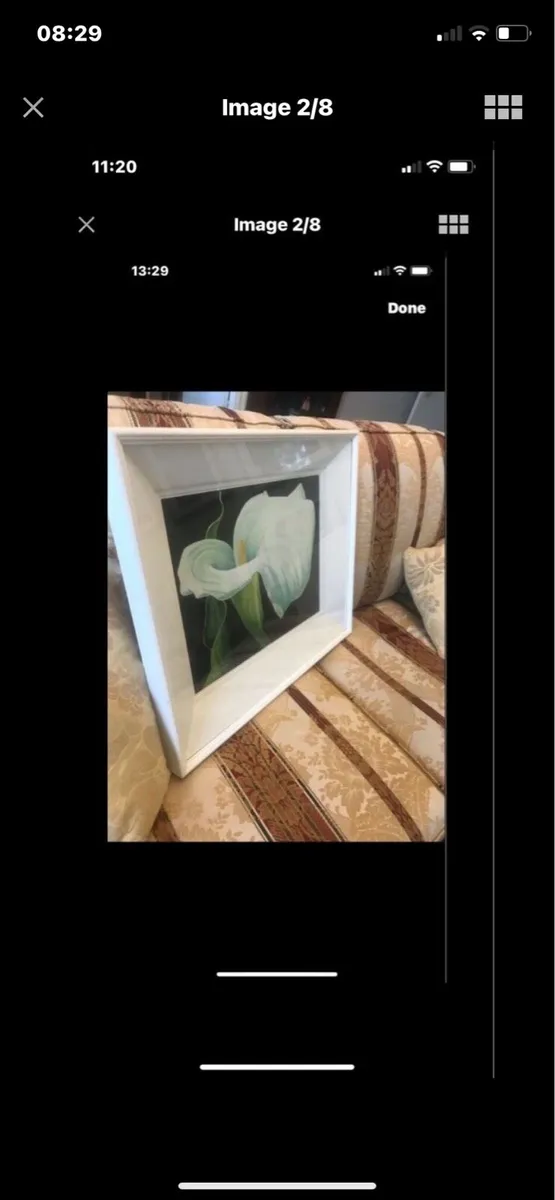 Arum Lily- Nicola Lynch Morrin Original painting - Image 2