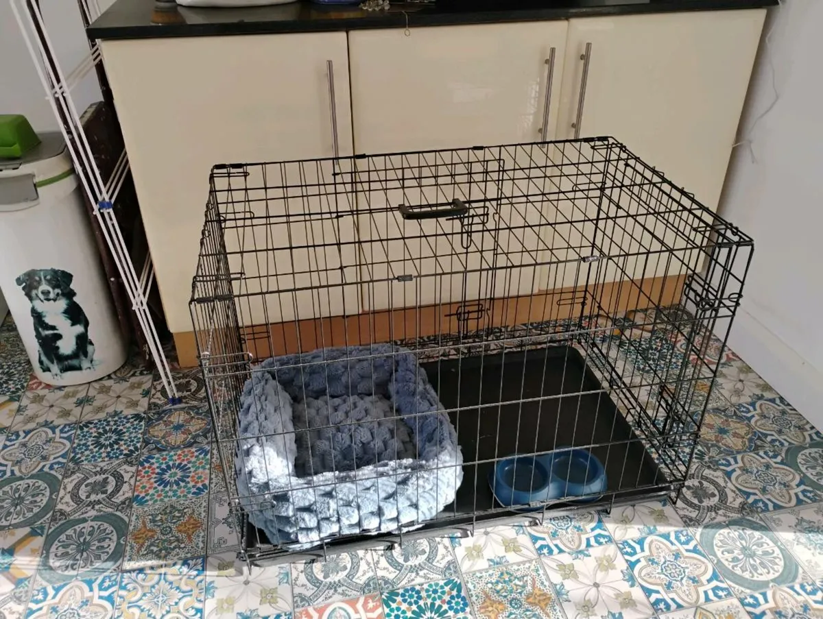 Dog crate - Image 1