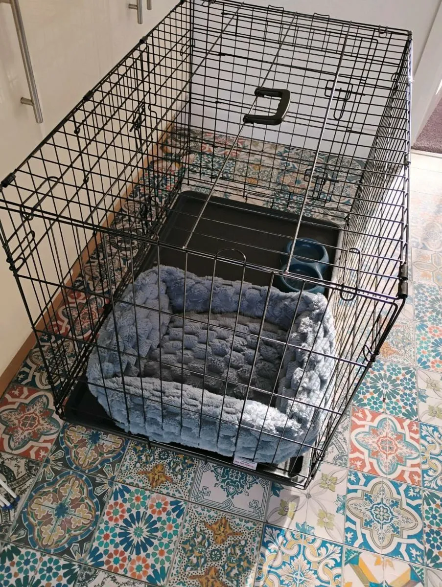Dog crate - Image 2