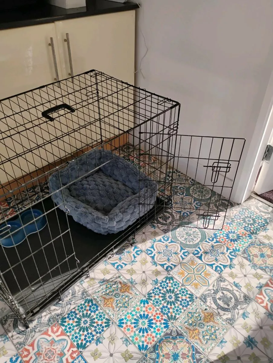 Dog crate - Image 3