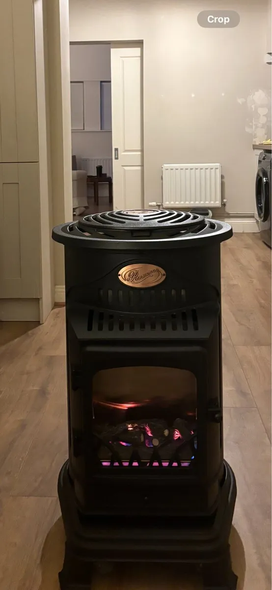 provance portable gas fire heater - Image 1