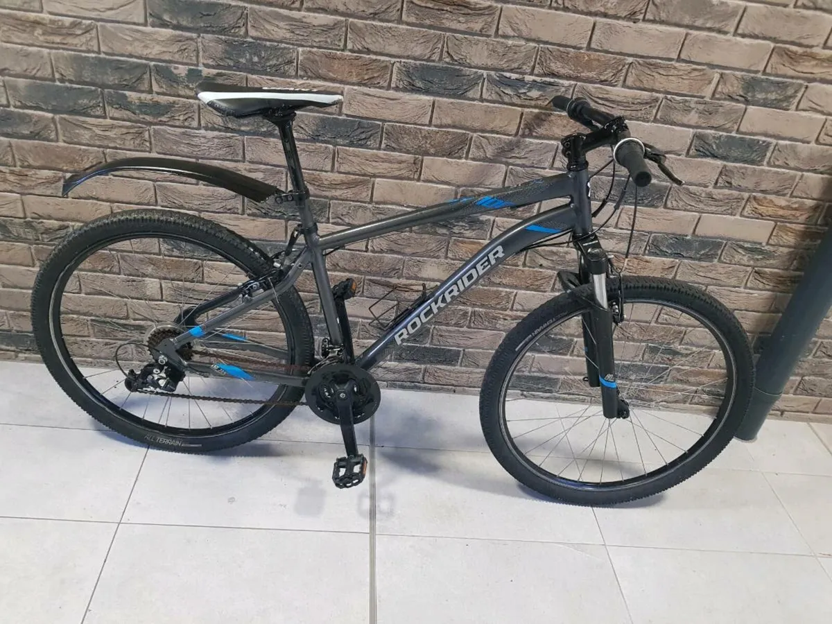 Mountain bike( can deliver) - Image 2