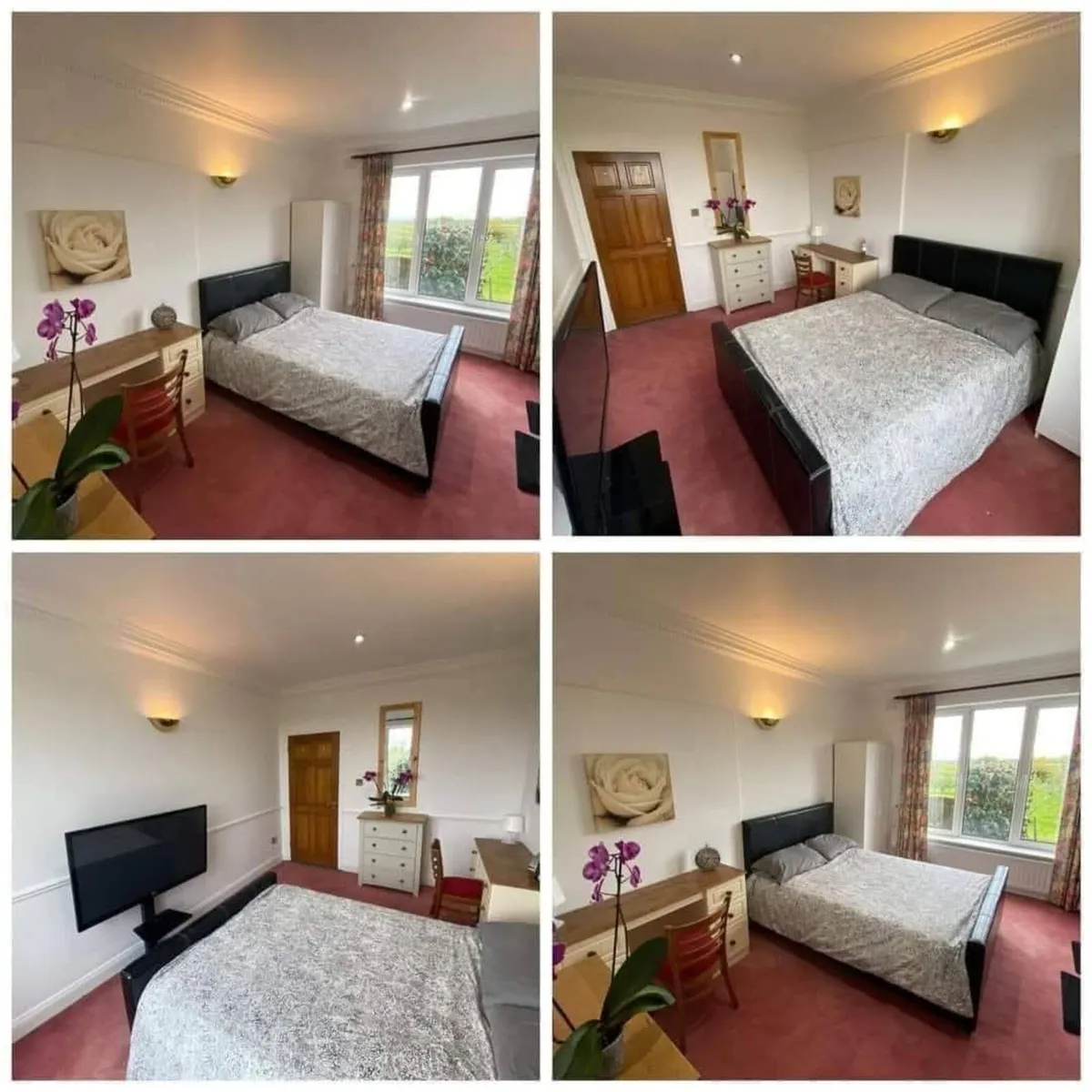 Bedrooms for Rent Double Ensuite Single Dublin 18 - Image 3