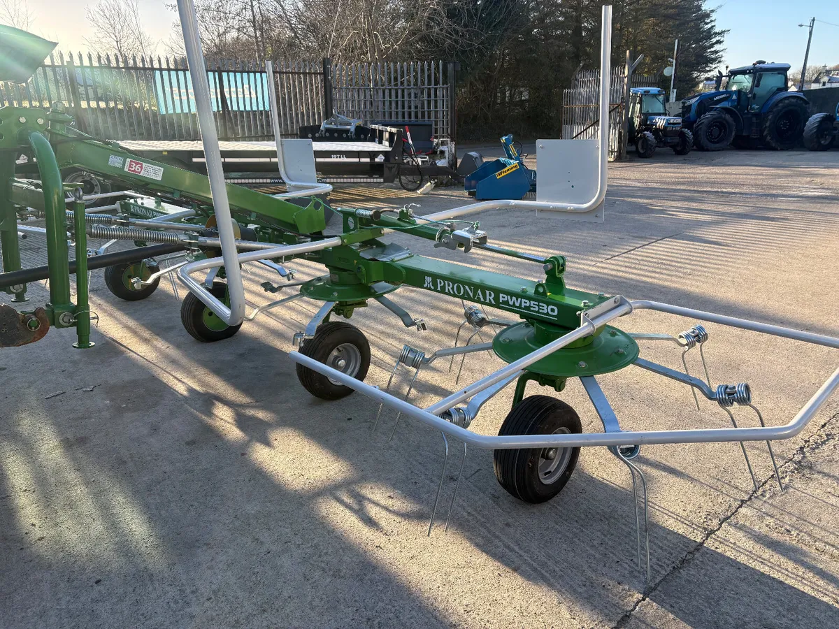 New Pronar 4 rotor tedder - Image 2