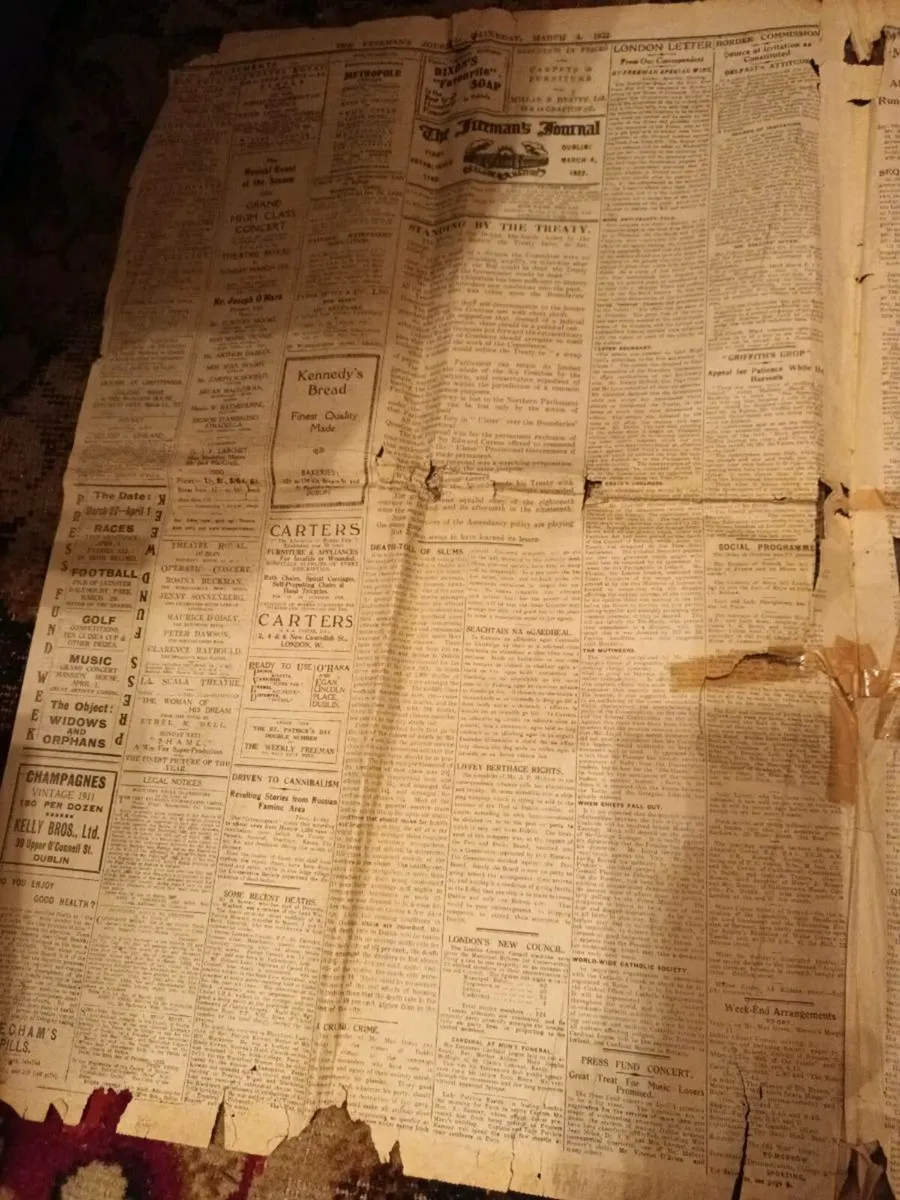 Freeman's Journal pages - Image 2