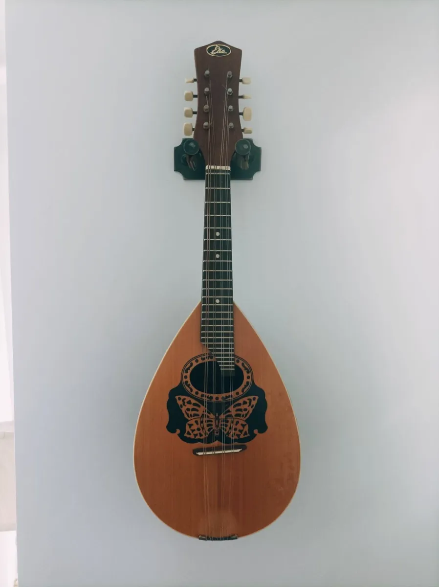 Mandolin - Image 4