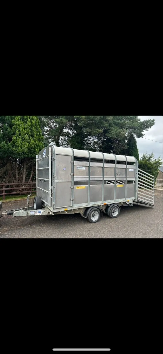 Ifor Williams 12 x 6.6 Demountable cattle trailer - Image 1