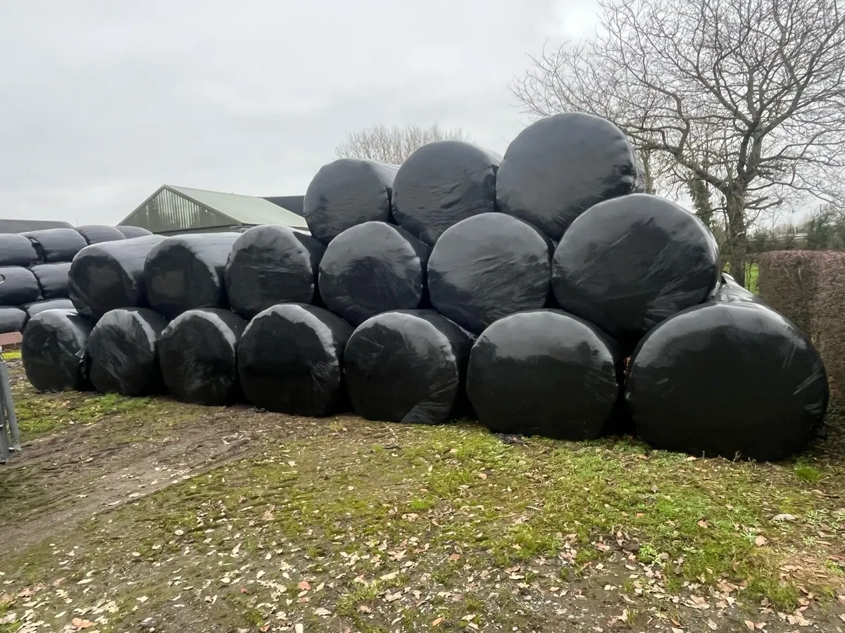 Silage - Image 1