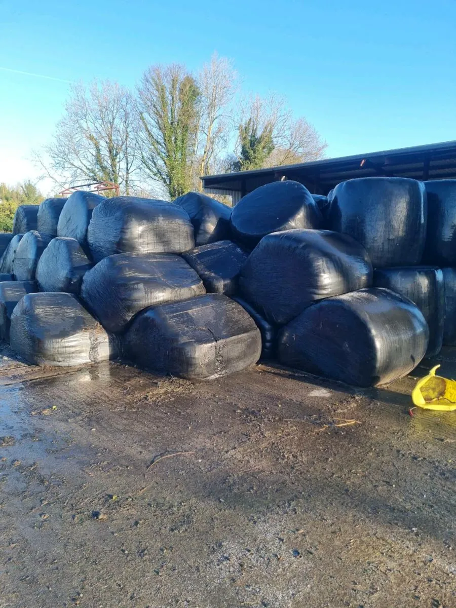 30 silage bales - Image 1