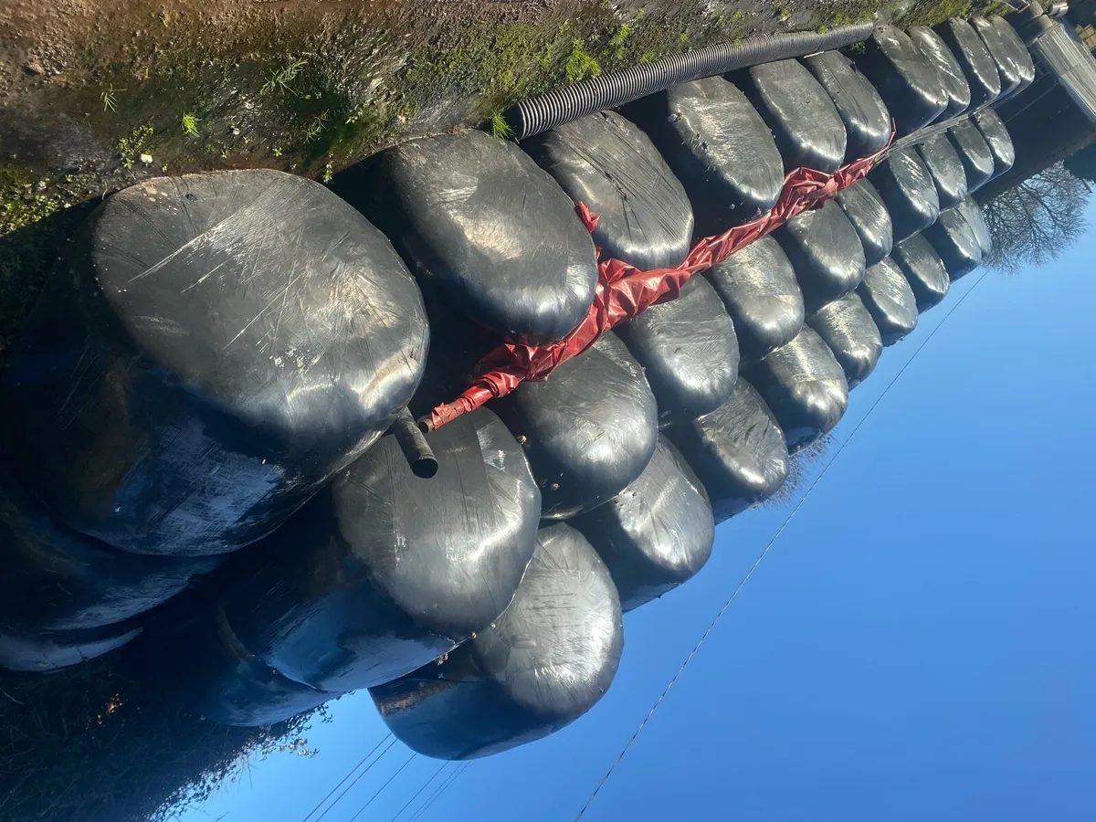 Silage bales - Image 2