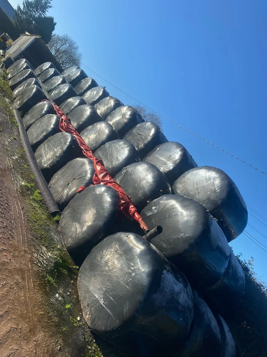 Silage bales - Image 1