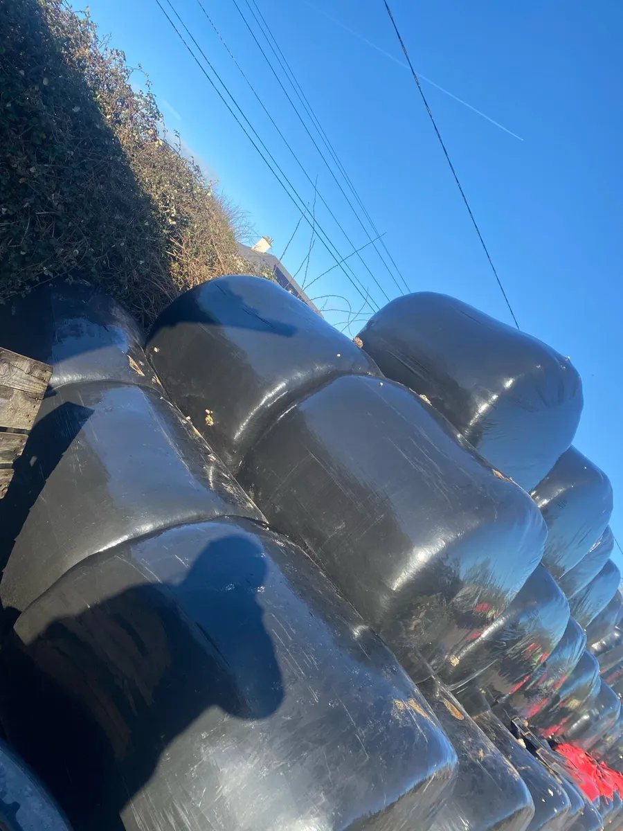 Silage bales - Image 3