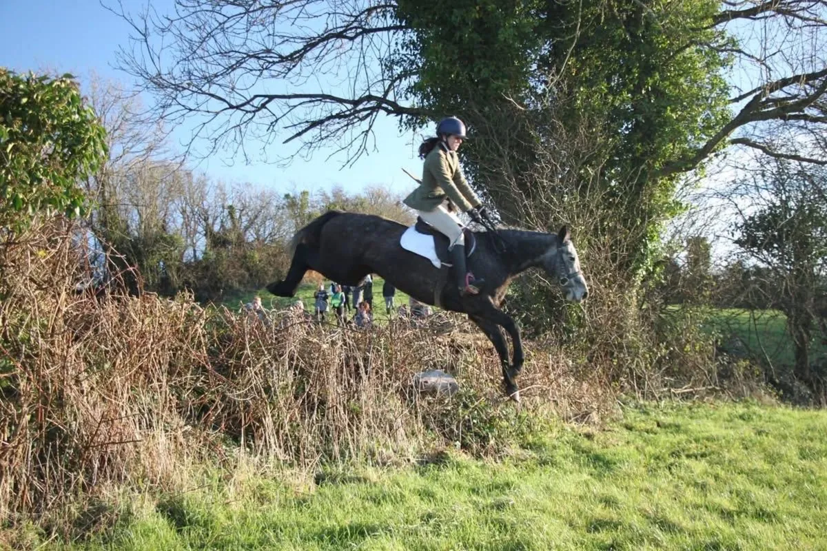 Knockbrack Aibréan - Image 2