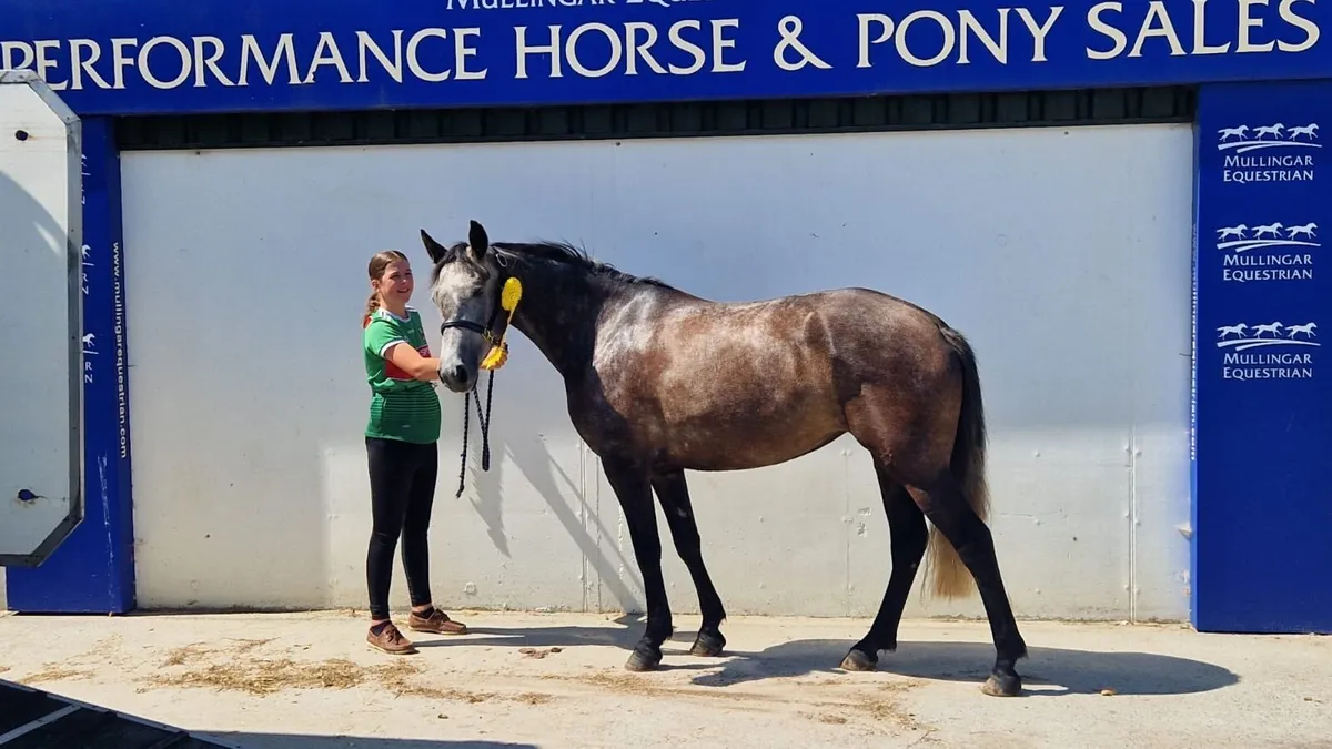 Knockbrack Aibréan - Image 1