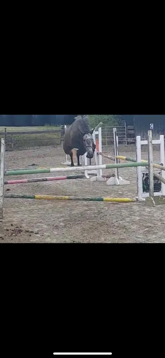 Knockbrack Aibréan - Image 3