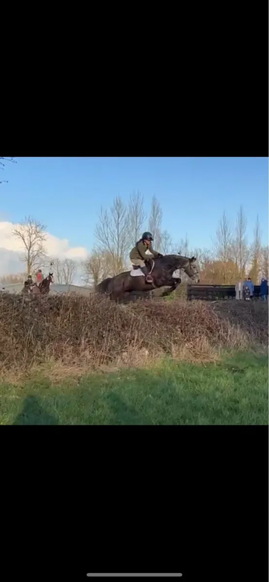 Knockbrack Aibréan - Image 4