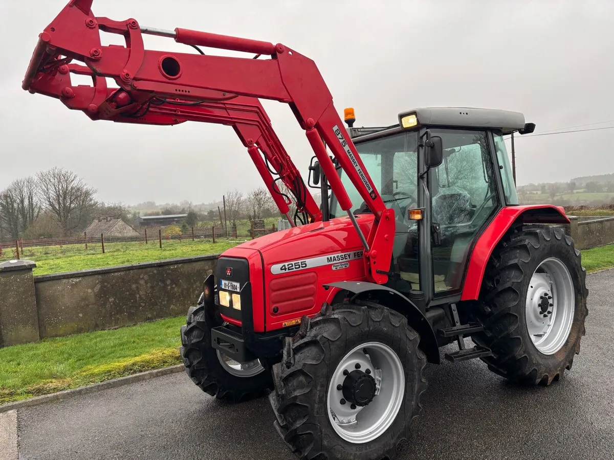 Massey Ferguson 4255.     2001 - Image 1