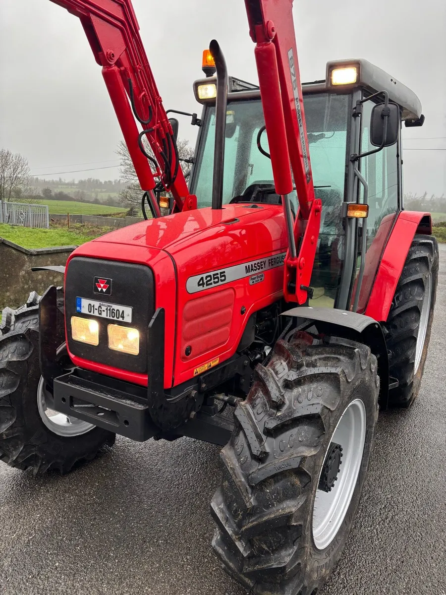 Massey Ferguson 4255.     2001 - Image 2