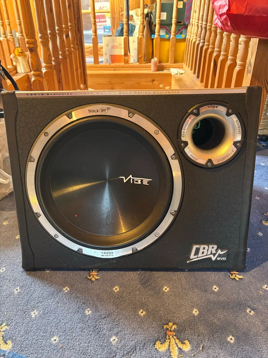 Vibe subwoofer - Image 1