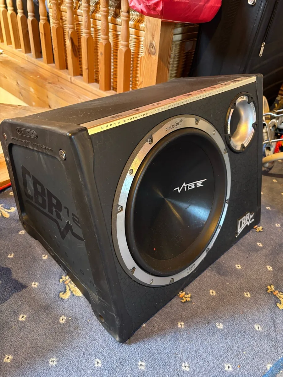 Vibe subwoofer - Image 2
