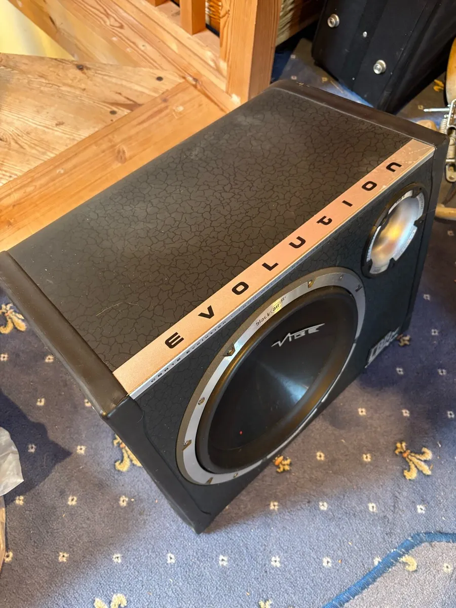 Vibe subwoofer - Image 3
