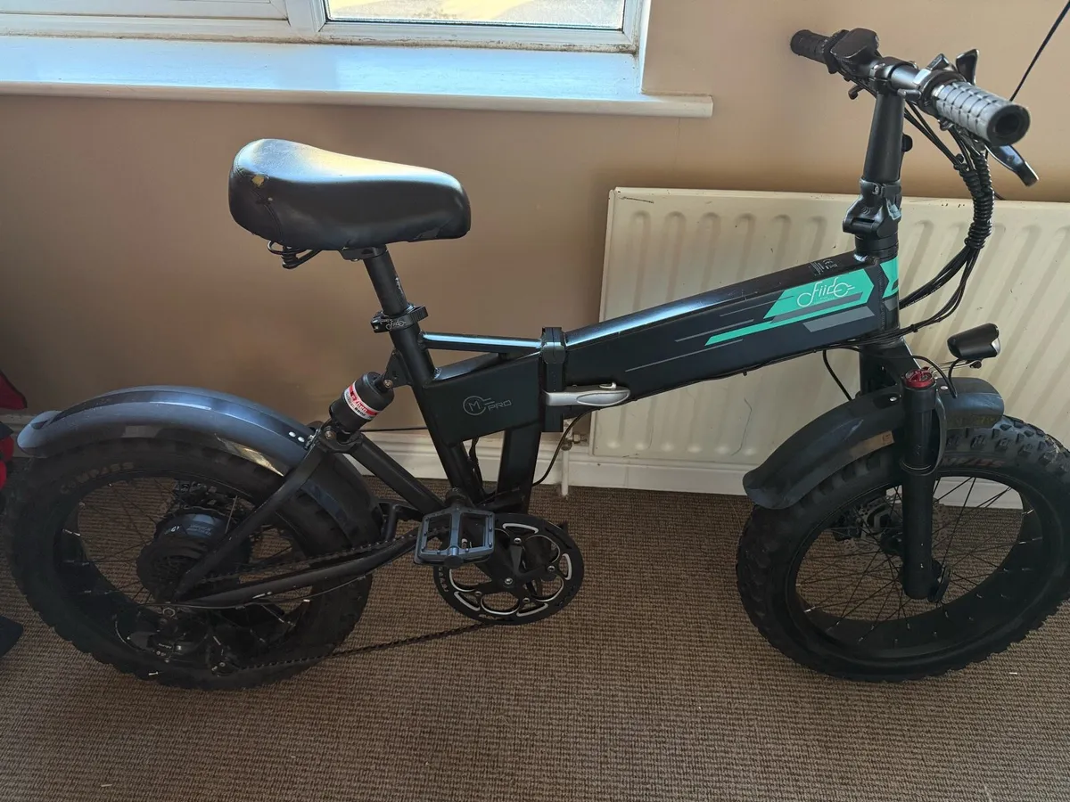 Fiido m1 Pro - Image 1