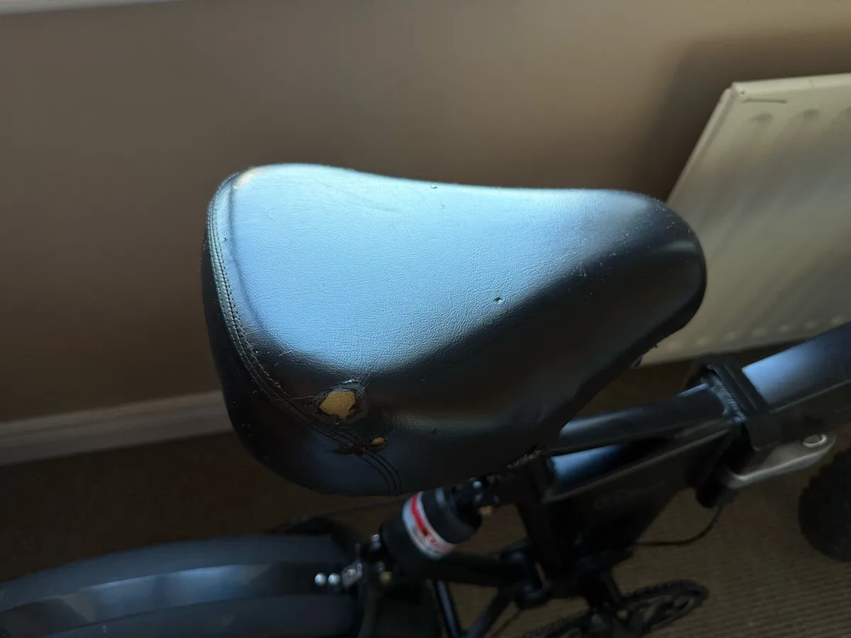 Fiido m1 Pro - Image 4