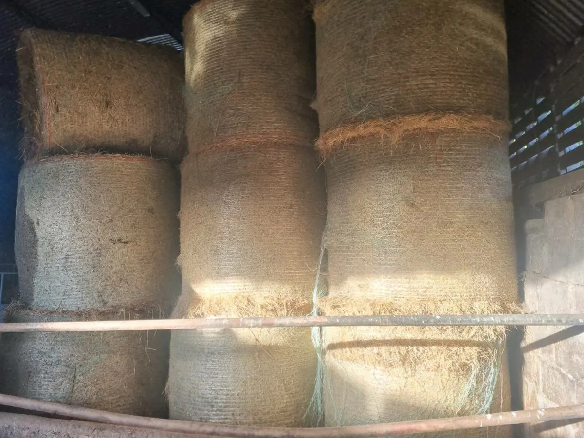 Quality Hay For Sale - Made end June 2025 - Image 1