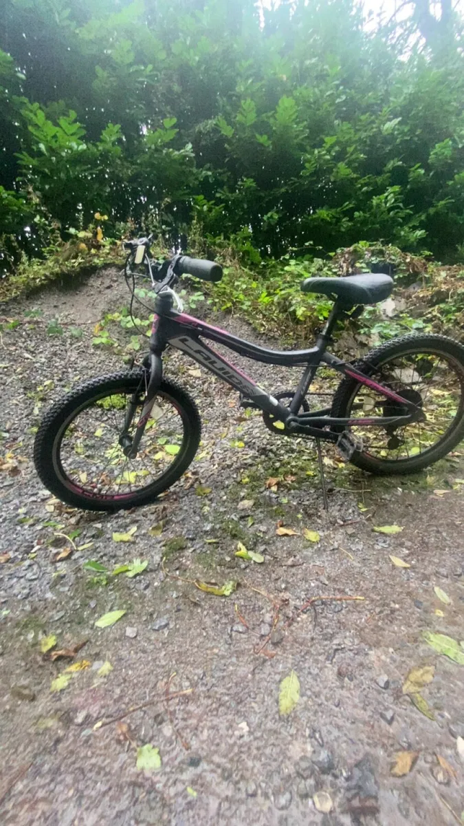 Bike - Image 1