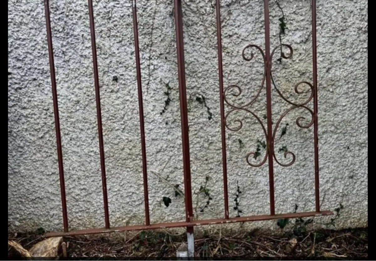 Galvanise Entrance Gates - Image 2