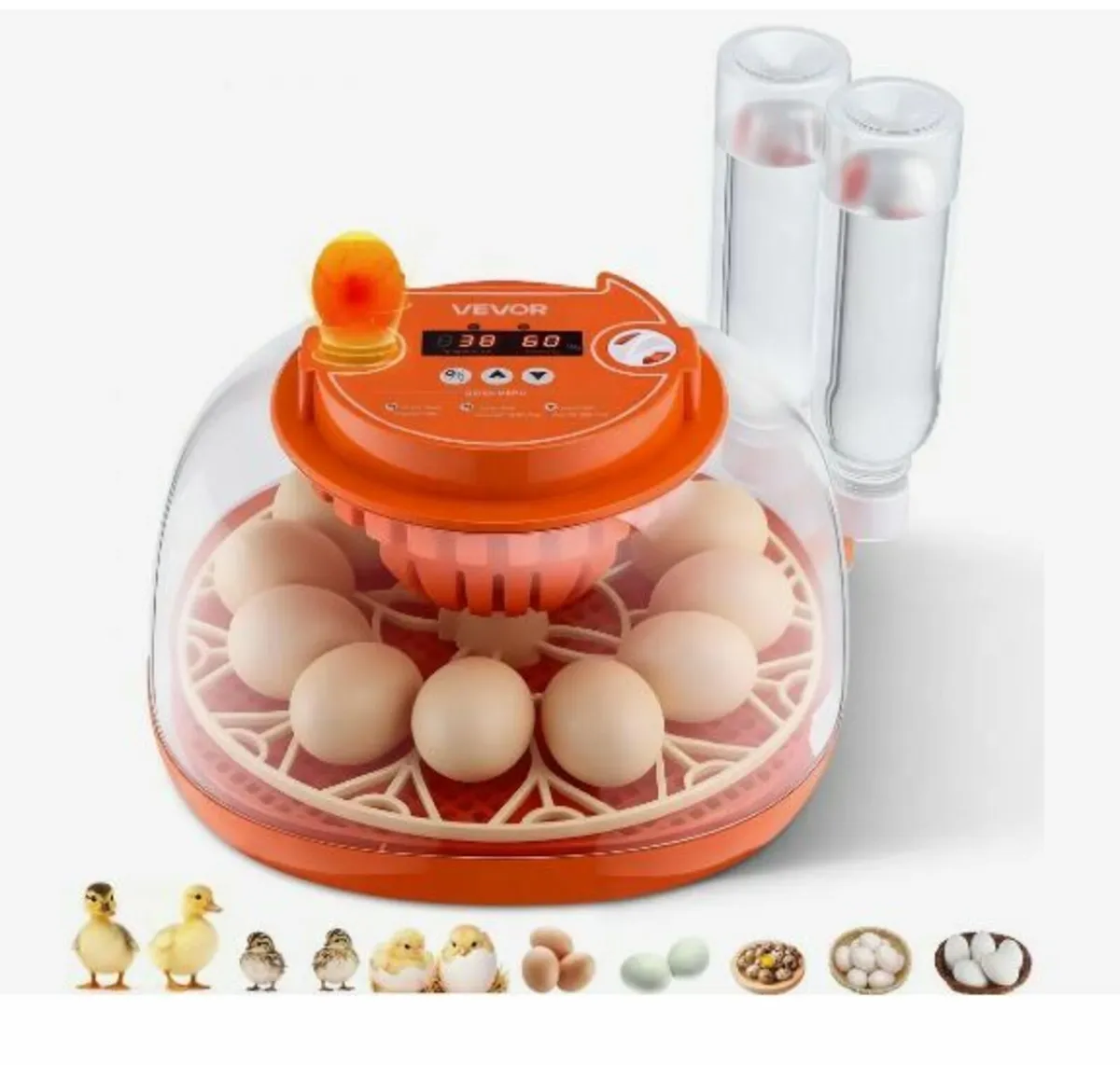 12 Egg Incubator, Automatic Egg Turner - Image 1