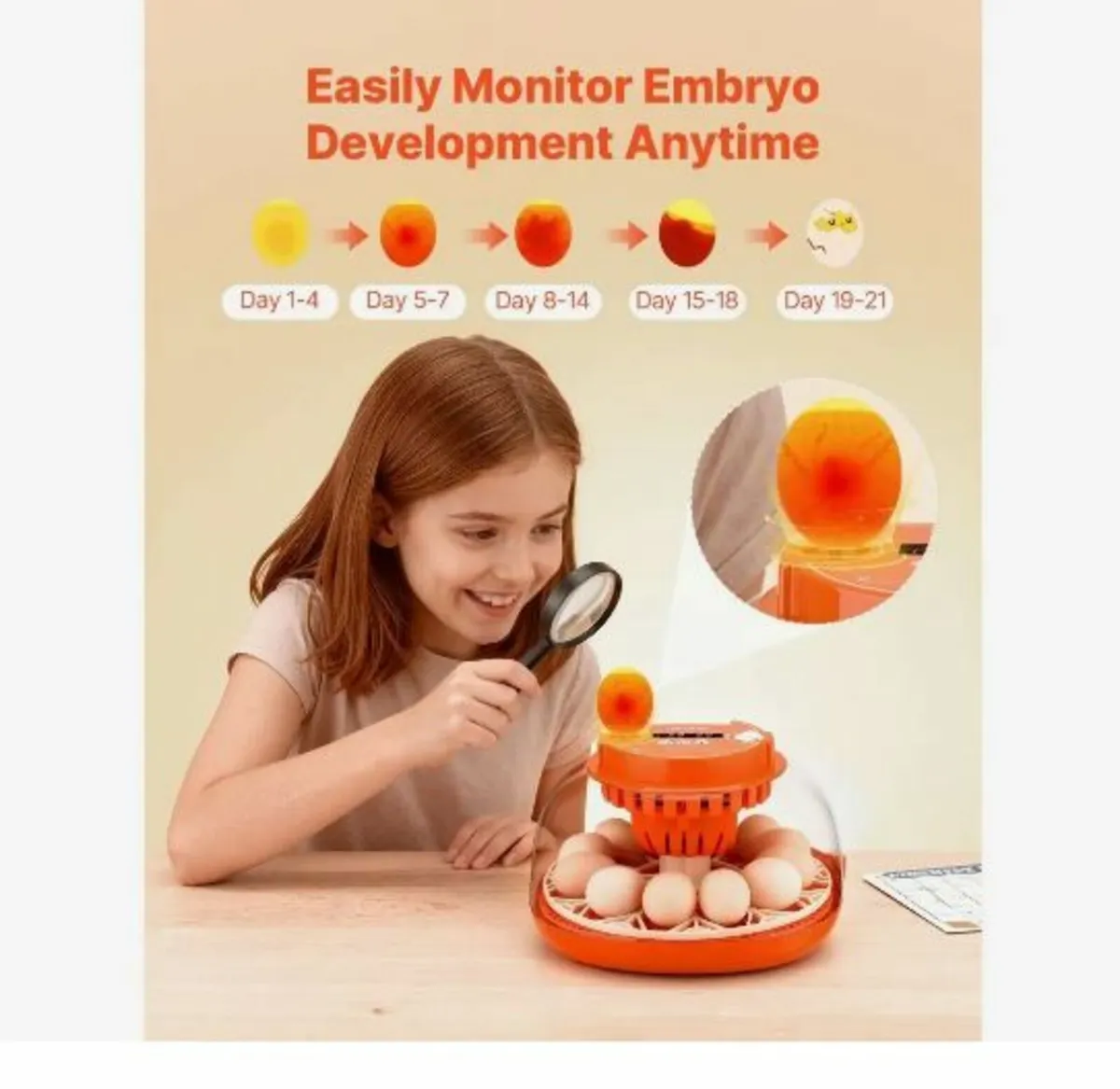 12 Egg Incubator, Automatic Egg Turner - Image 4