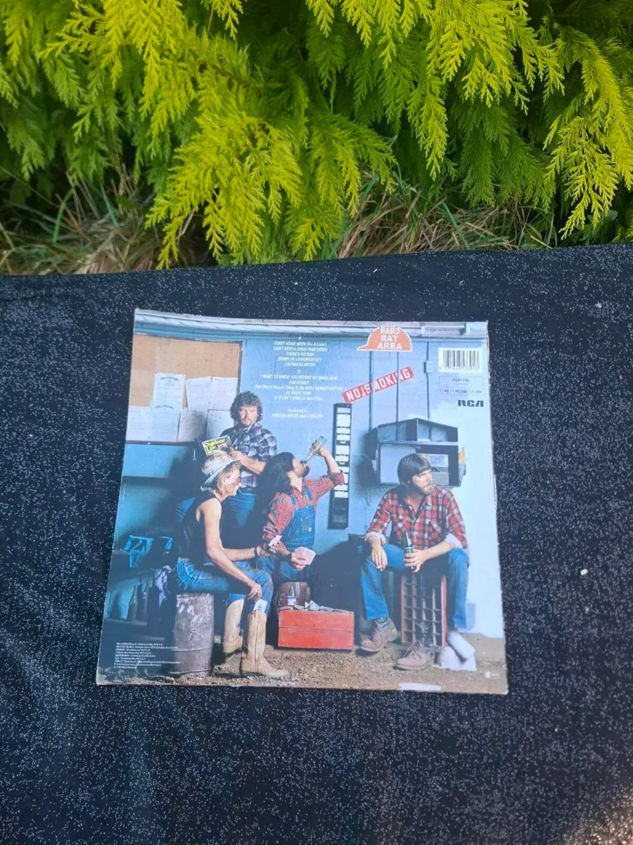 Vinyl lp alabama - Image 2