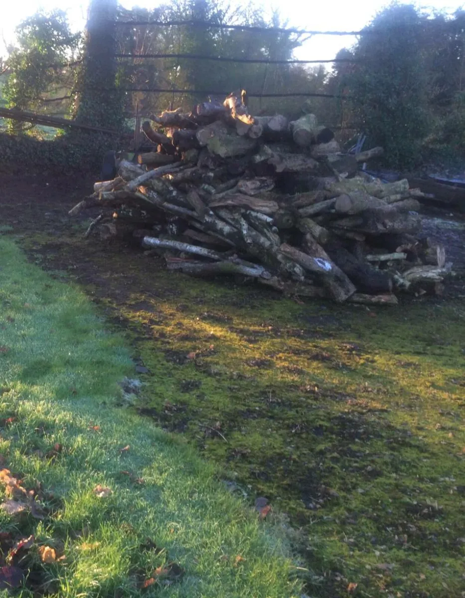 Firewood Lengths for Sale - Image 1
