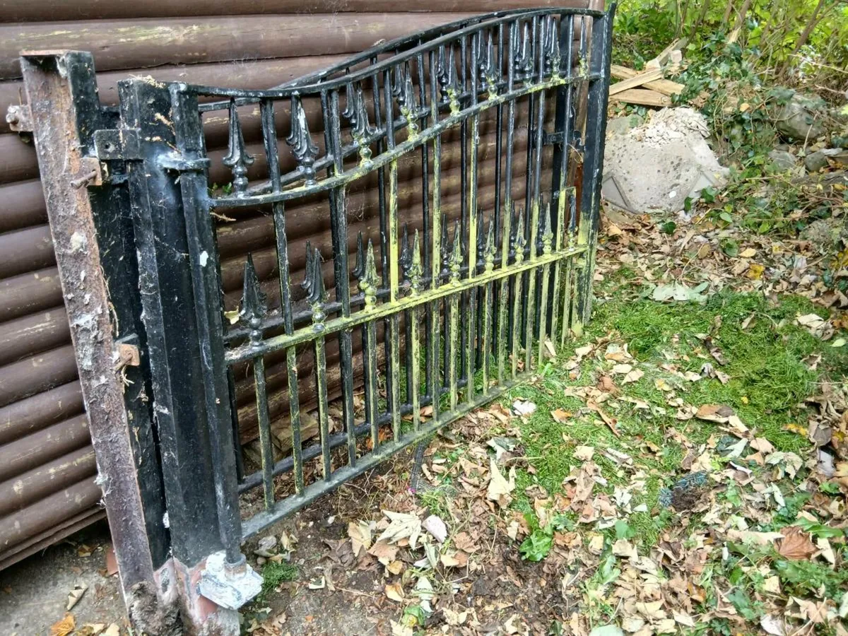 Iron Gates. - Image 4