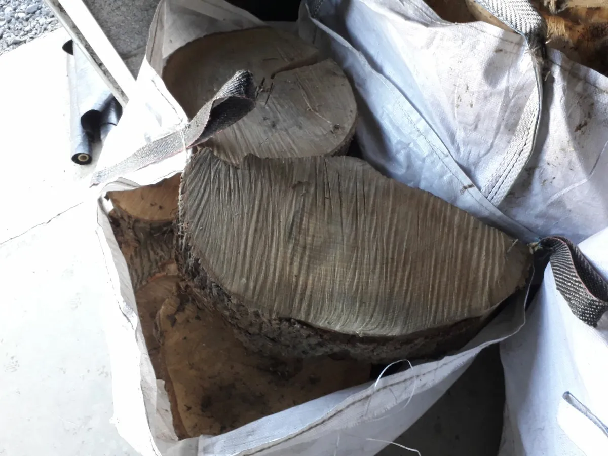 Firewood - Large Ash wood for Splitting - Image 2