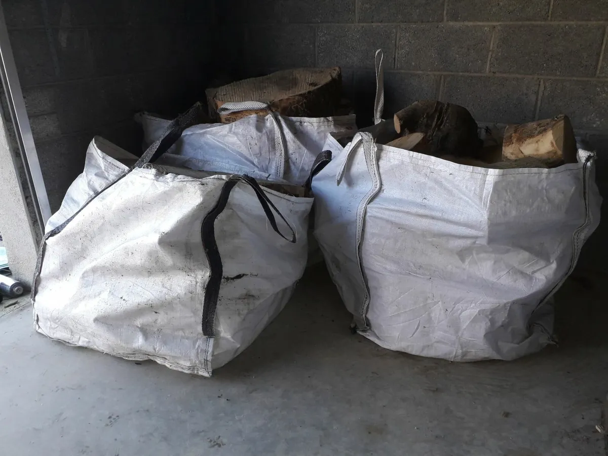 Firewood - Large Ash wood for Splitting - Image 3