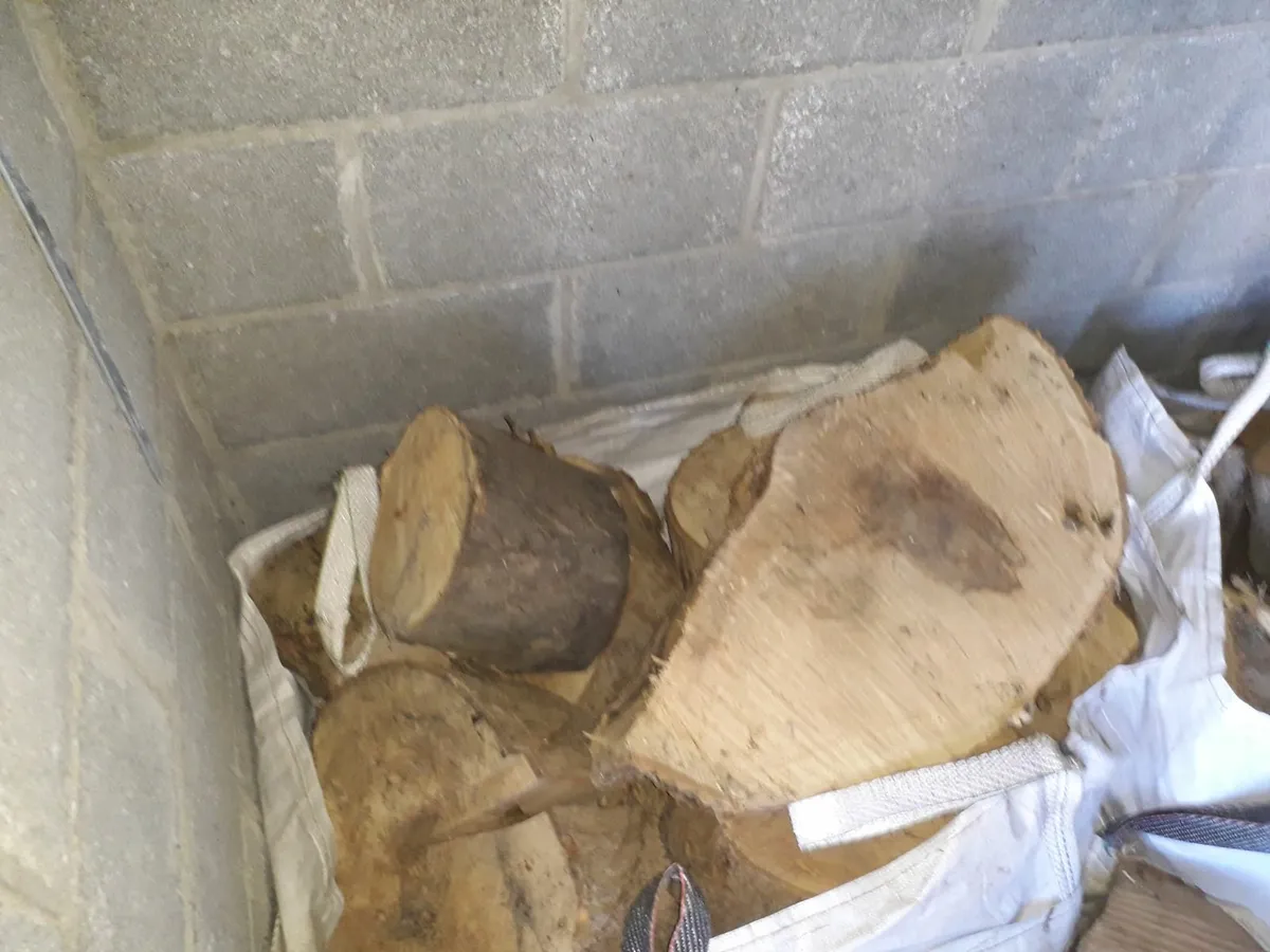 Firewood - Large Ash wood for Splitting - Image 4