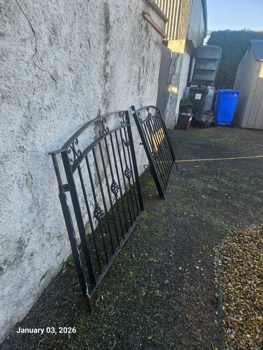 Driveway gates - Image 1