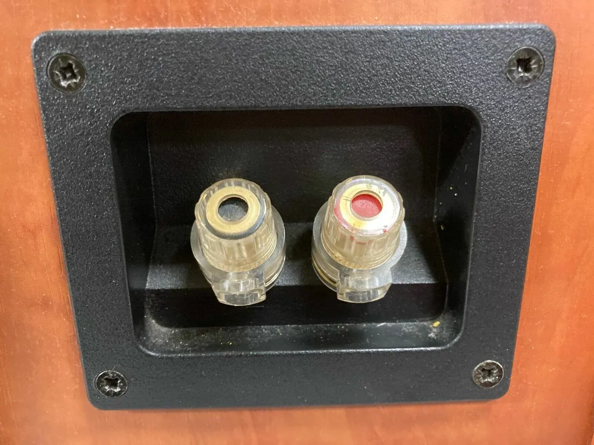 Dali Speaker Pair - Image 3