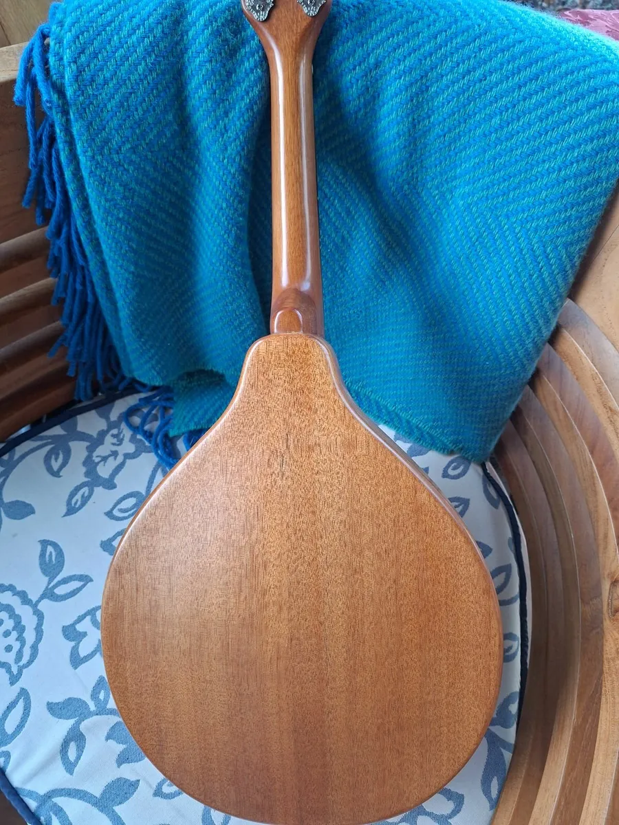 Mandolin - Gretsch G9310  New Yorker Supreme - Image 4