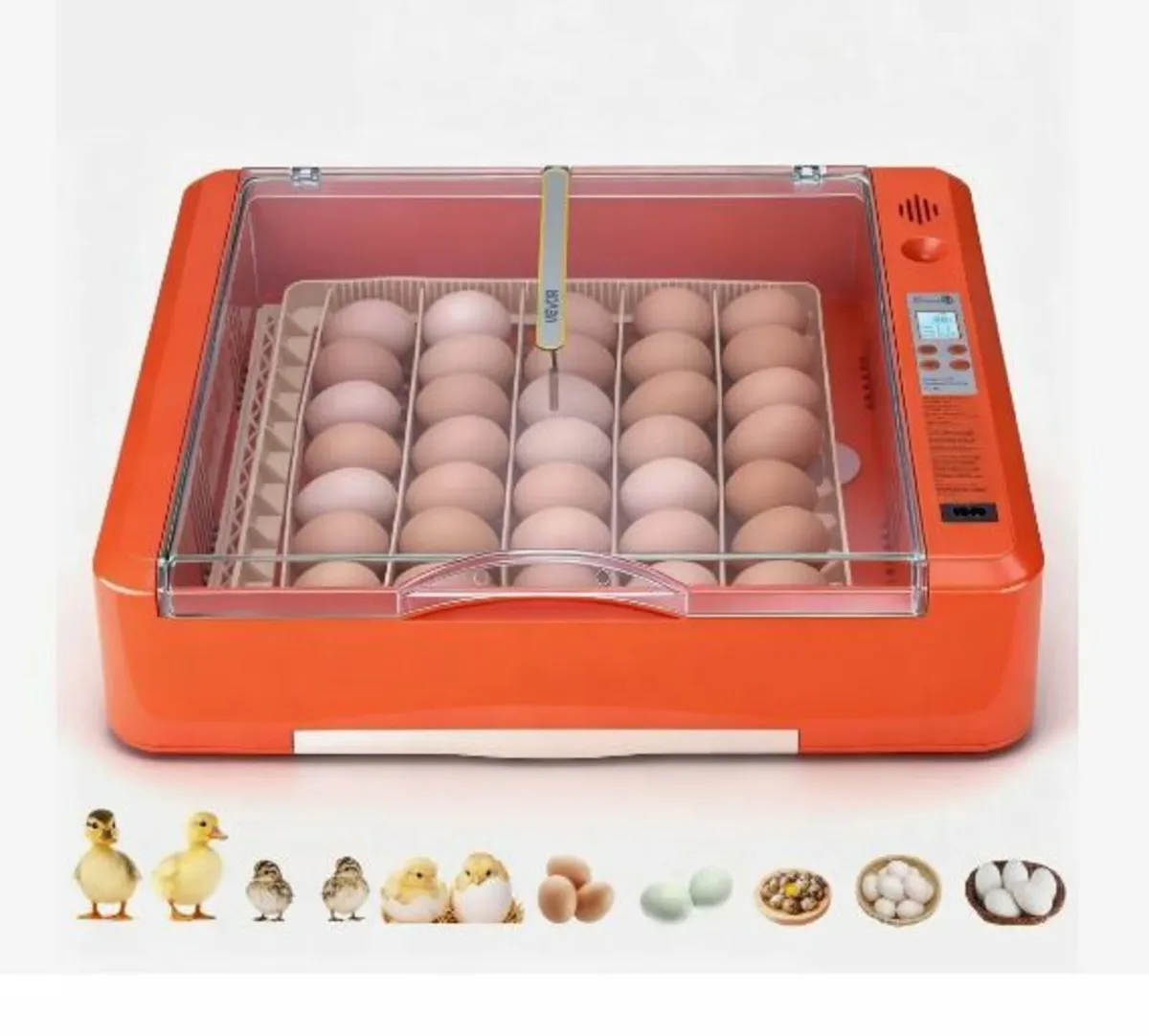 36 Egg Incubator - Image 2