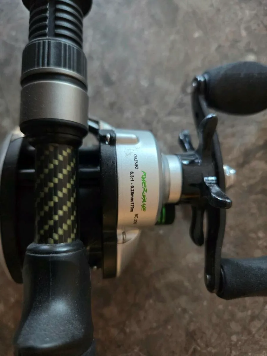 Fishing Rod and reel - Image 1