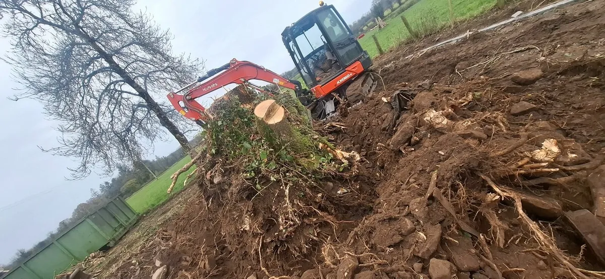 Tree and Groundworks - Image 2