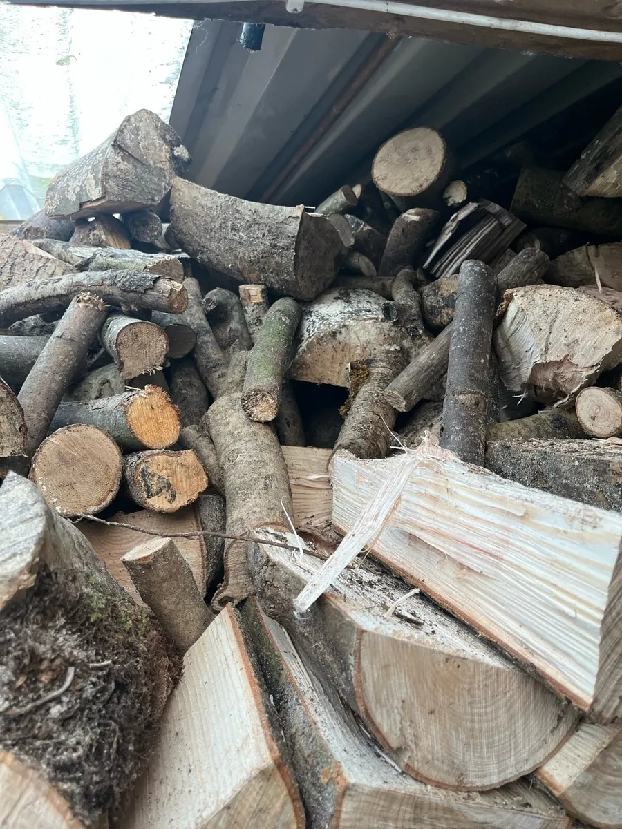 Bags of firewood - Image 1