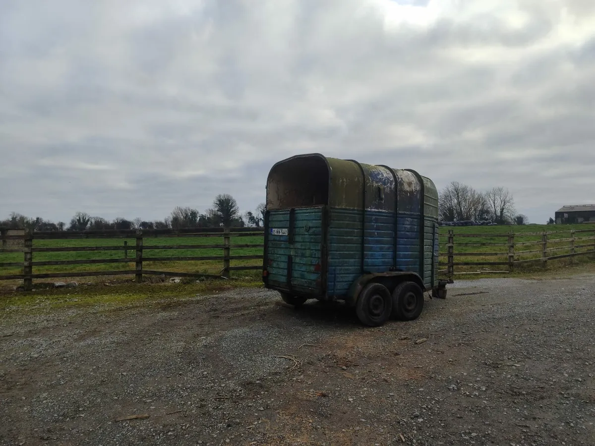 Horsebox - Image 2